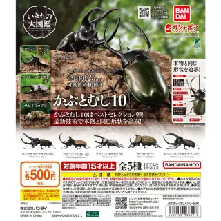いきもの大図鑑 かぶとむし10の画像