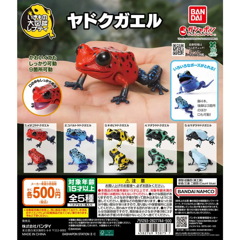 いきもの大図鑑レプティ ヤドクガエルの台紙