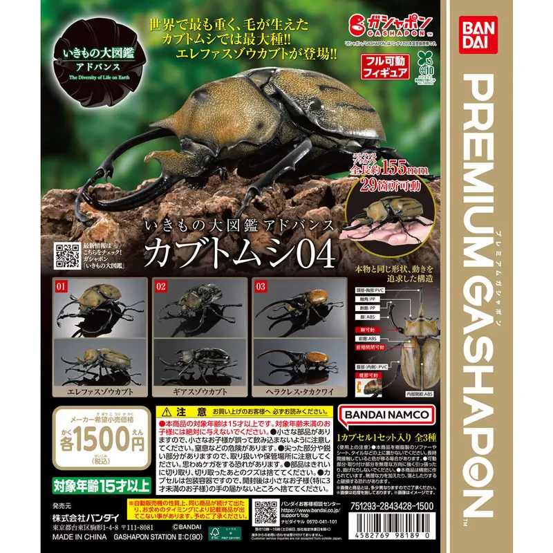 いきもの大図鑑アドバンス カブトムシ04の台紙