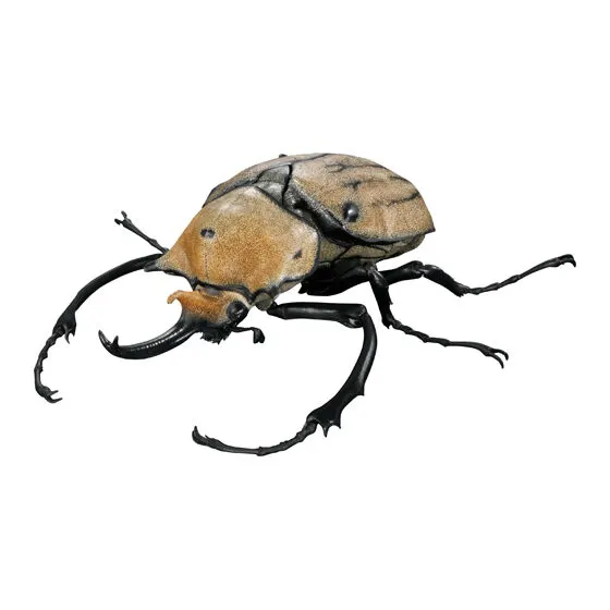 いきもの大図鑑アドバンス カブトムシ04 エレファスゾウカブト