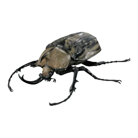 いきもの大図鑑アドバンス カブトムシ04 ギアスゾウカブト