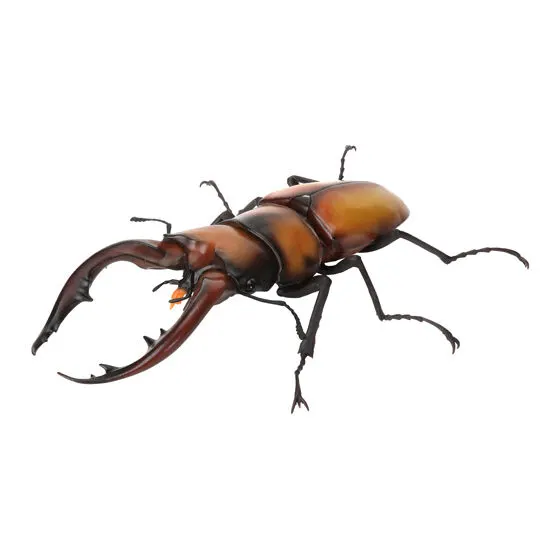 いきもの大図鑑 くわがた12 トカラノコギリクワガタ（オレンジ）