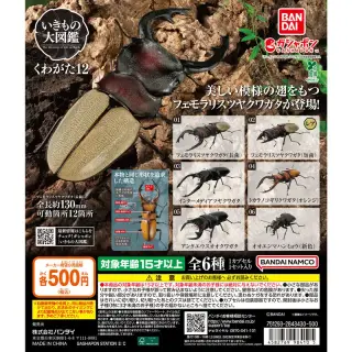 いきもの大図鑑 くわがた12の画像