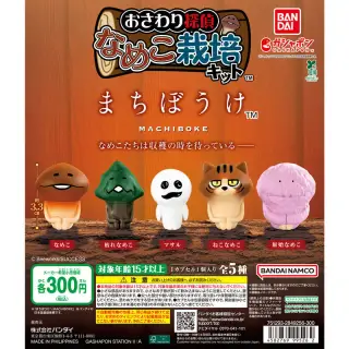 なめこ栽培キット まちぼうけの画像