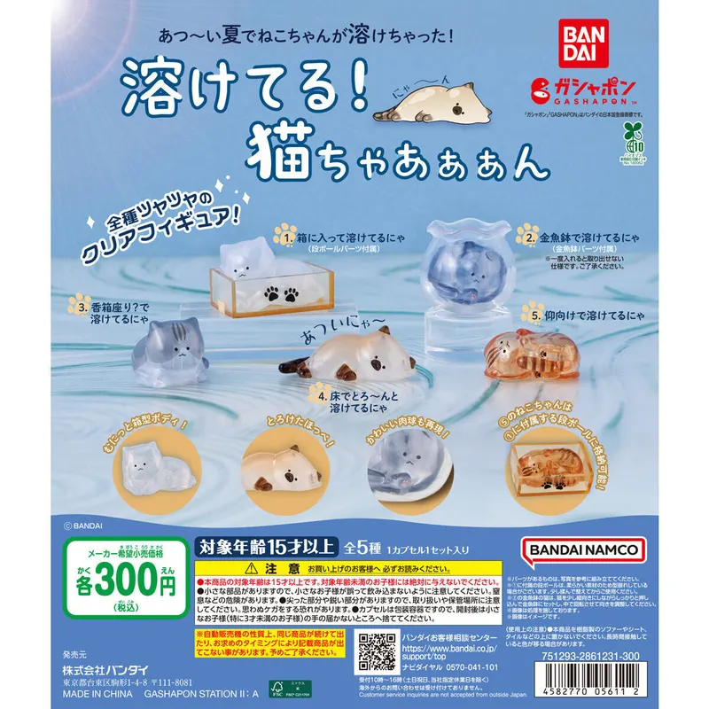 溶けてる!猫ちゃあぁぁんの台紙