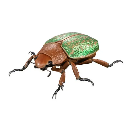 いきもの大図鑑アドバンス タマムシとウグイスコガネ ヴィクトリーナウグイスコガネ