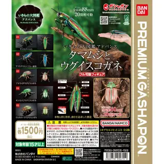 いきもの大図鑑アドバンス タマムシとウグイスコガネの画像