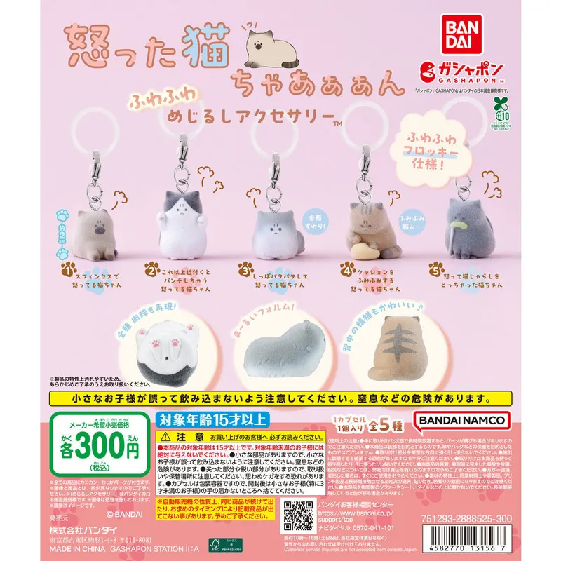 怒った猫ちゃあぁぁん ふわふわめじるしアクセサリーの台紙