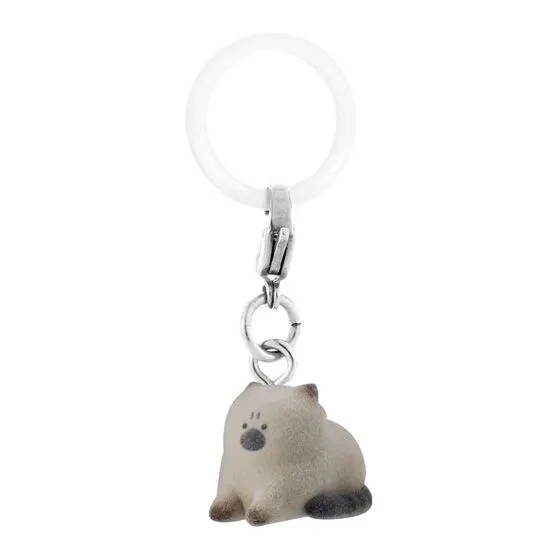 怒った猫ちゃあぁぁん ふわふわめじるしアクセサリー スフィンクスで怒ってる猫ちゃん