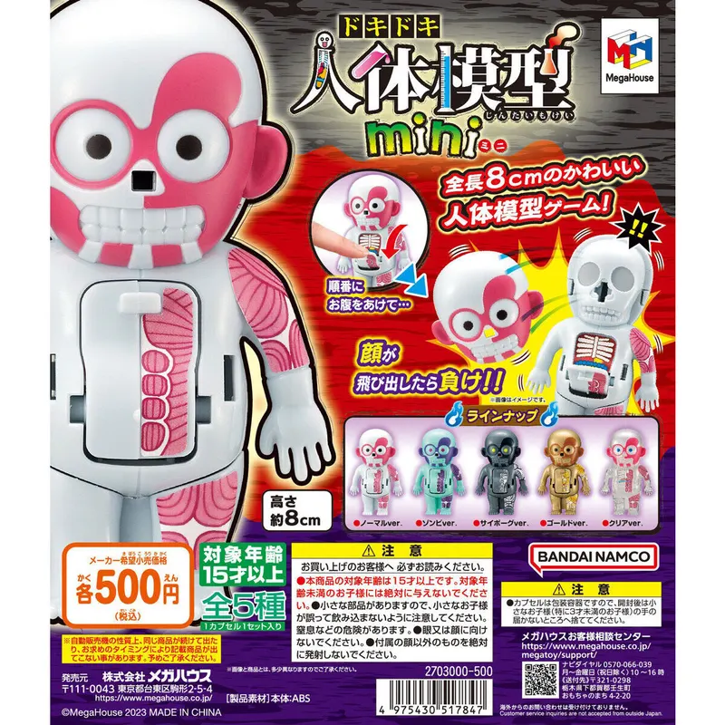 ドキドキ人体模型miniの台紙