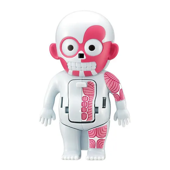 ドキドキ人体模型mini ノーマルver.