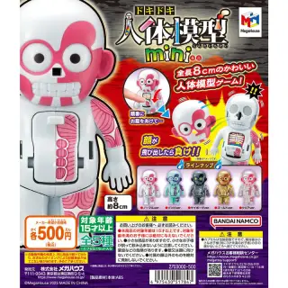 ドキドキ人体模型miniの画像