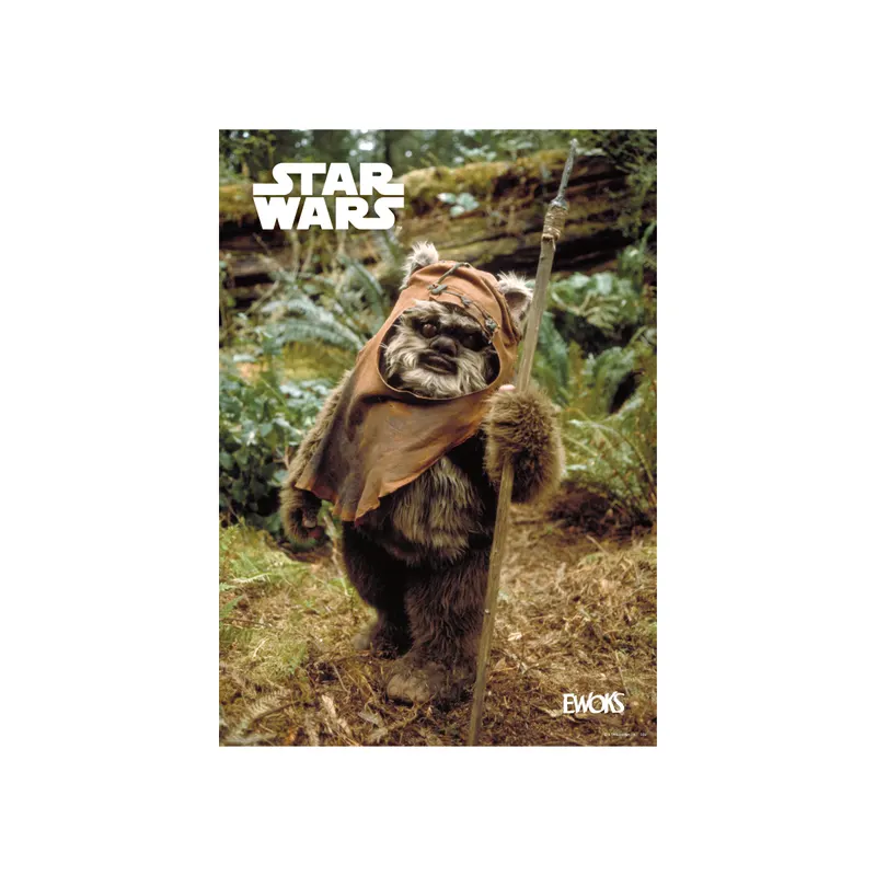 Happyくじ / STAR WARS™『EWOKS』 ラインナップ 9