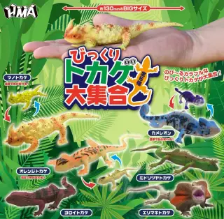 びっくりトカゲ大集合の画像