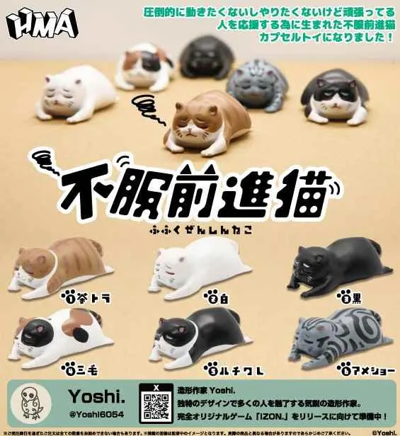 不服前進猫(画像)