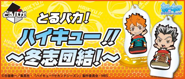 とるパカ! ハイキュー!!~冬志団結!~(画像)
