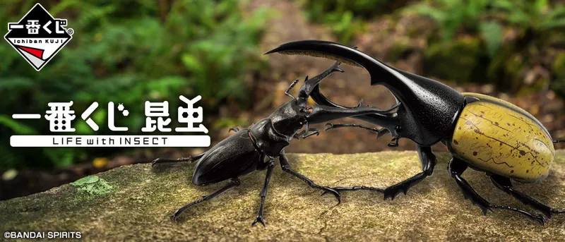 一番くじ 昆虫 LIFE with INSECT(画像)