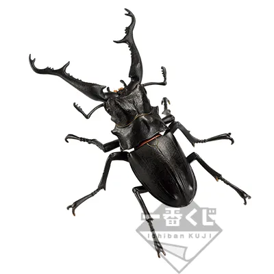 一番くじ 昆虫 LIFE with INSECT ラインナップ 3