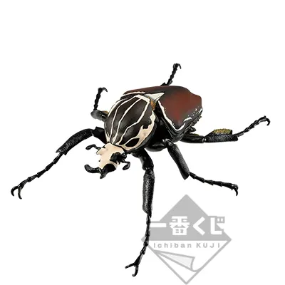 一番くじ 昆虫 LIFE with INSECT ラインナップ 4