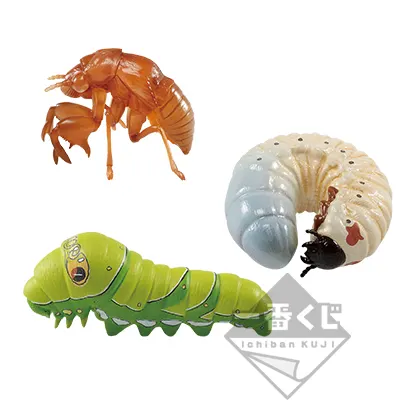 一番くじ 昆虫 LIFE with INSECT ラインナップ 6