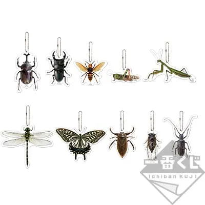 一番くじ 昆虫 LIFE with INSECT ラインナップ 8