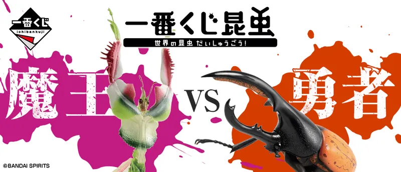 一番くじ昆虫 世界の昆虫だいしゅうごう!(画像)