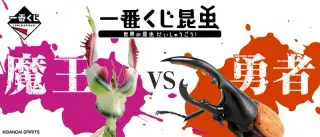 一番くじ昆虫 世界の昆虫だいしゅうごう！の画像