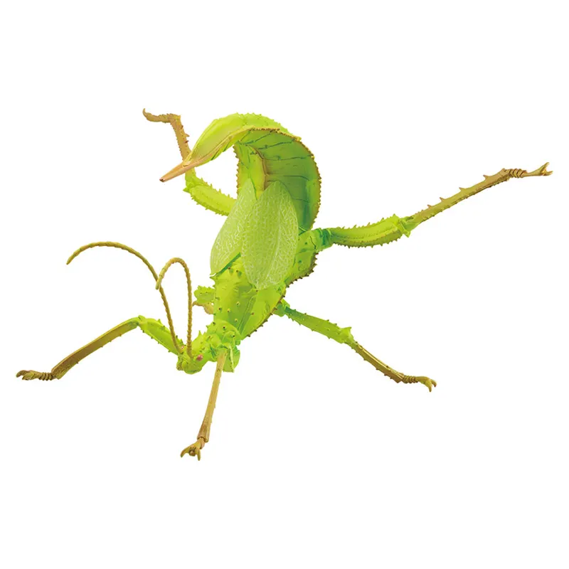 一番くじ昆虫 世界の昆虫博物館 ラインナップ 3