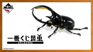 一番くじ昆虫 世界の昆虫博物館の画像