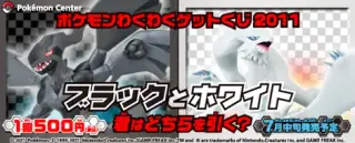 ポケモンわくわくゲットくじ2011の画像