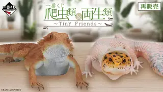 一番くじ 爬虫類＆両生類～Tiny Friends～の画像