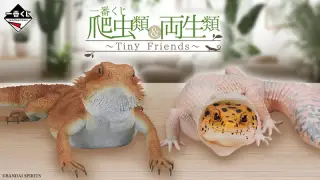 一番くじ 爬虫類＆両生類～Tiny Friends～の画像