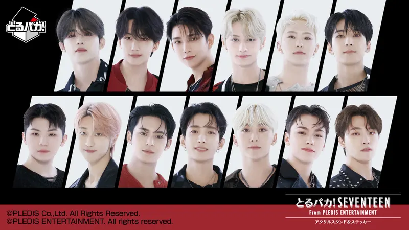 とるパカ! SEVENTEEN From PLEDIS ENTERTAINMENT アクリルスタンド&ステッカー(画像)