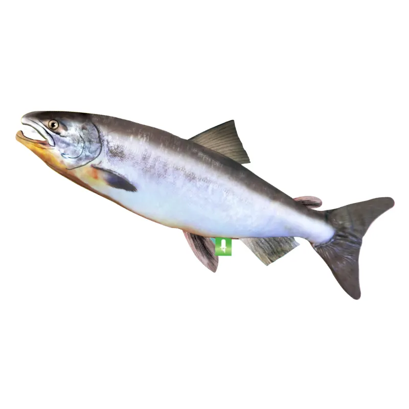 ATC すいラボ ゲーミング魚コレクション ラインナップ 2