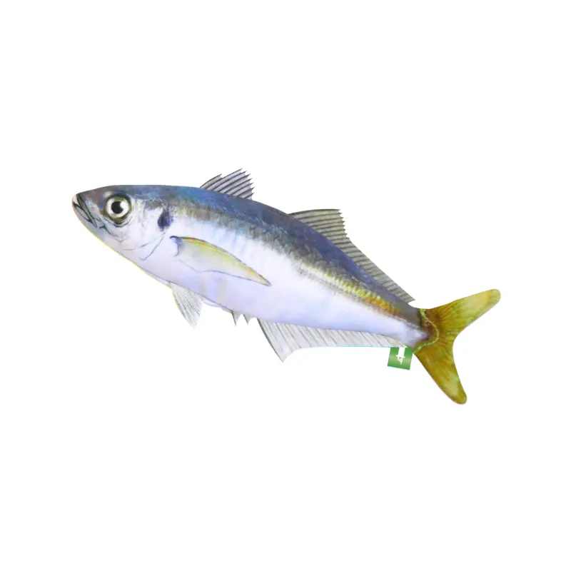 ATC すいラボ ゲーミング魚コレクション ラインナップ 4