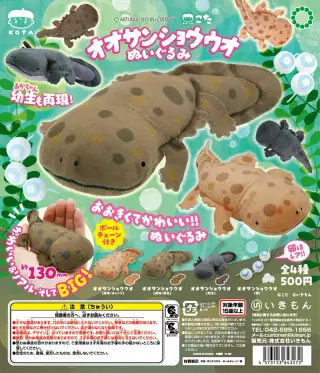 ATC こた オオサンショウウオぬいぐるみの画像