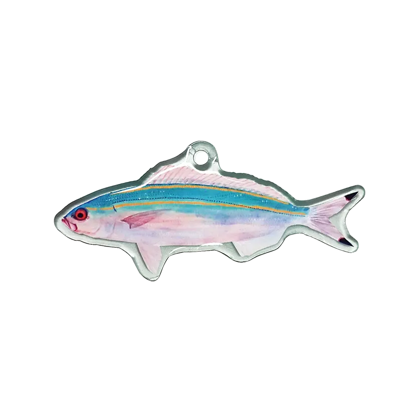 八重山の魚譜 長嶋祐成アクリルコレクション ラインナップ 4
