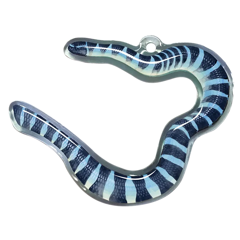八重山の魚譜 長嶋祐成アクリルコレクション ラインナップ 8