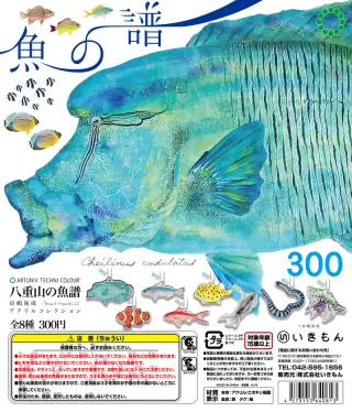 八重山の魚譜 長嶋祐成アクリルコレクションの画像