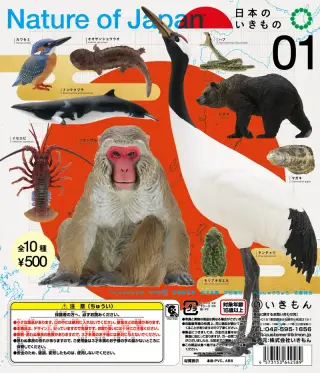Nature of Japan 日本のいきもの１の画像