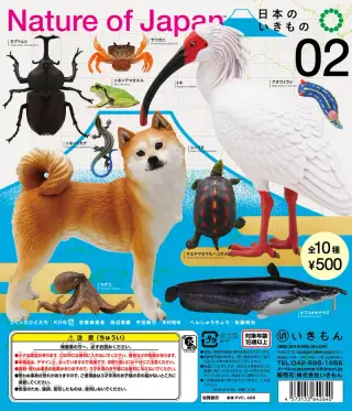 Nature of Japan 日本のいきもの２の画像