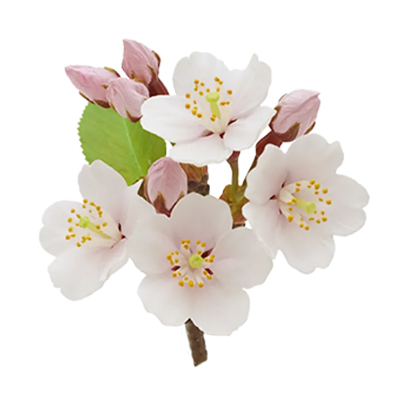 Nature of Japan 日本のいきもの3 ラインナップ 8