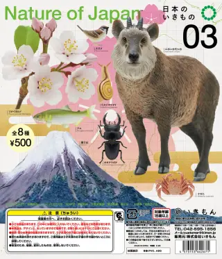 Nature of Japan 日本のいきもの３の画像