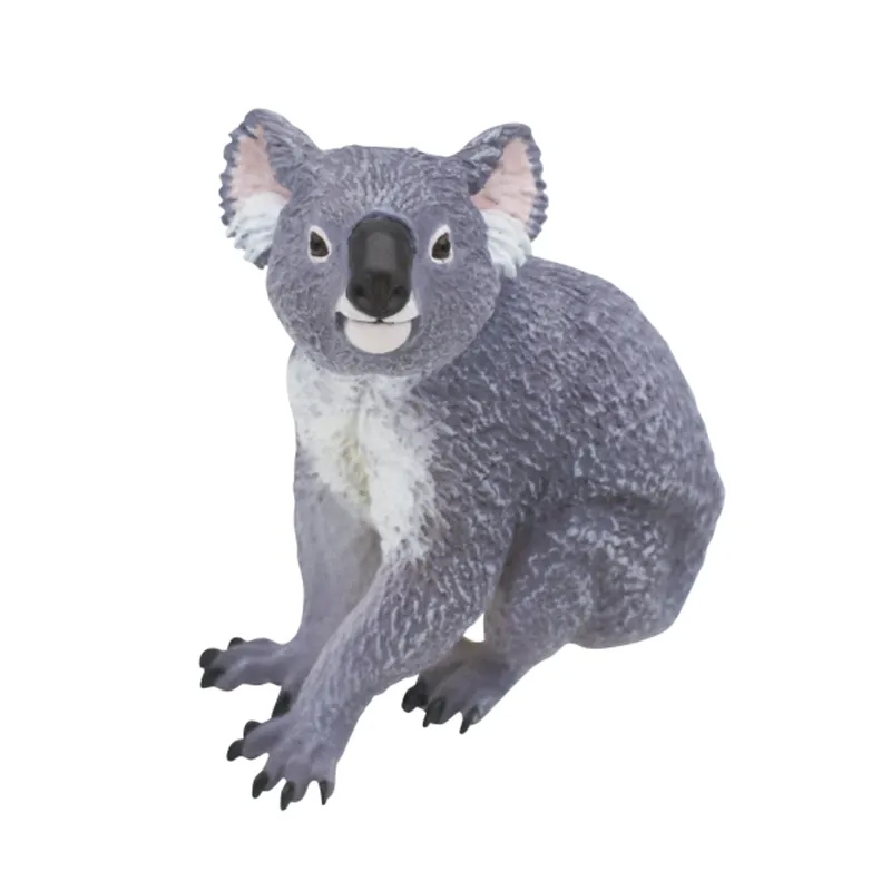 オーストラリア ラインナップ 2