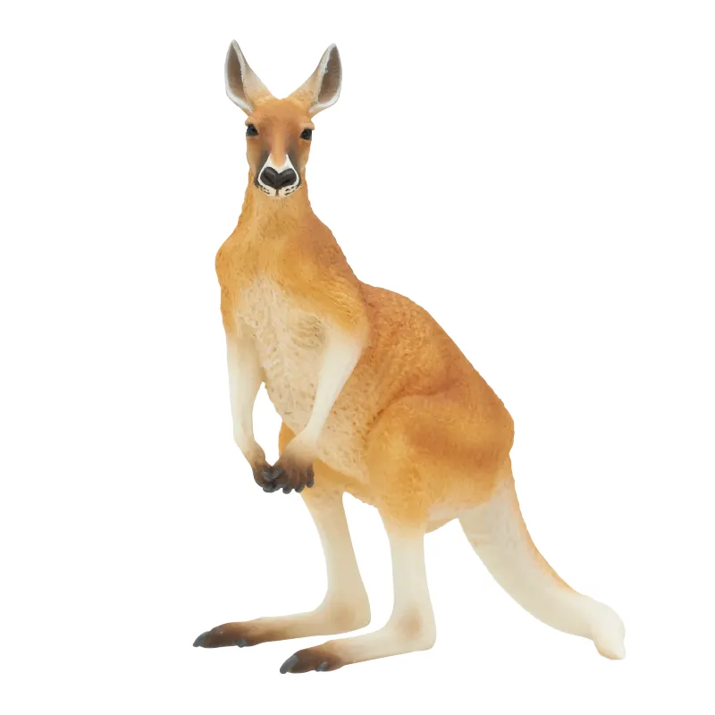 オーストラリア ラインナップ 3