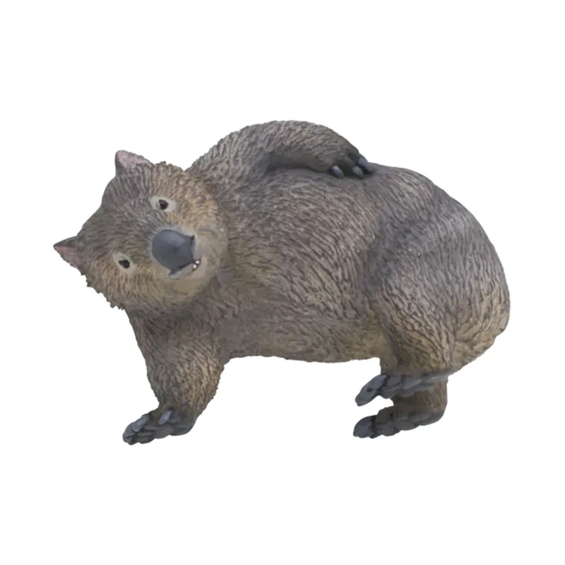 オーストラリア ラインナップ 4