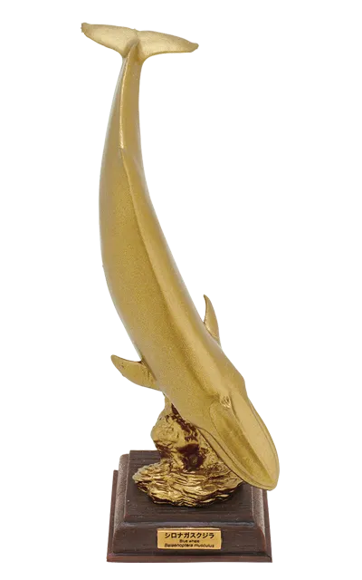 海洋Ⅰ 黄金版 ラインナップ 3