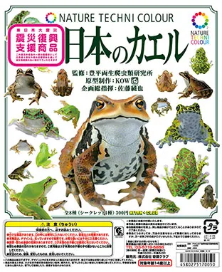 日本のカエル THE FROGS IN JAPAN(画像)