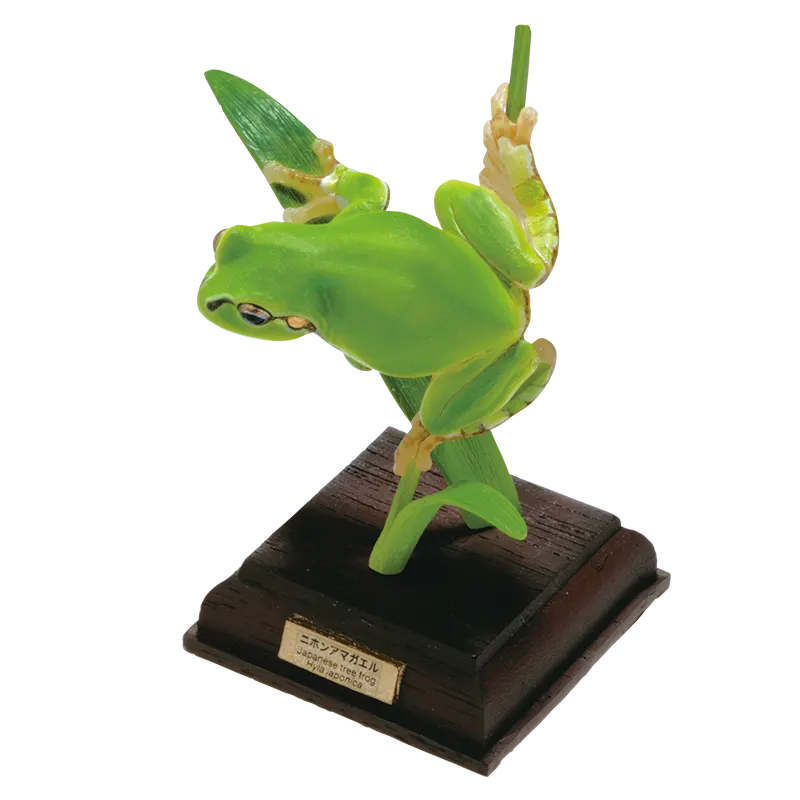 日本のカエル THE FROGS IN JAPAN ラインナップ 2