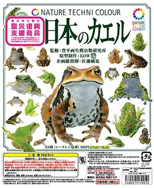 日本のカエル THE FROGS IN JAPANの画像
